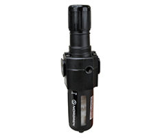 Excelon filtre/regülatör, 1/2 PTF, 5 µm, 0,3-10 bar, otomatik tahliye, göstergesiz