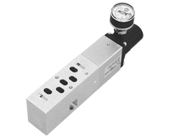 Tek basınç regülatör plakası, port 2 ayarlı