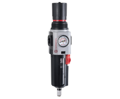 Excelon Plus filtre/regülatör, 1/2 NPT, 5 µm, 0,3-10 bar, otomatik tahliye, göstergeli
