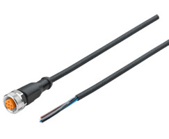Konektör kablosu, 5 pinli M12 soket, açık uçlu, 5m kablo