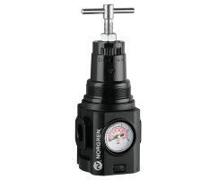 Aşırı sıcaklık uygulamaları için Excelon Plus basınç regülatörü, 1/2 PTF, 0,3-4 bar, entegre gösterge