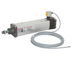 Cleanline silindir (valfsiz), 100 mm çap, 80 mm strok, ATEX sertifikalı, ayarlanabilir manyetik anahtar konumlu