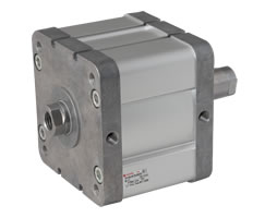 ISO kompakt çift etkili silindir, iç dişli, çift uçlu piston kolu, 125 mm çap, 50 mm strok