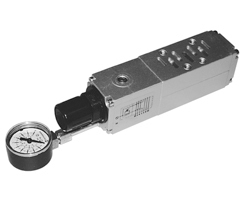 Tek basınç regülatör plakası, port 2 ayarlı