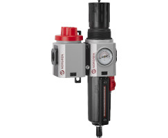 Excelon Plus filtre/regülatör ve kesme vanası kombinasyon ünitesi, 1/2 PTF, braket ve göstergeli otomatik tahliye