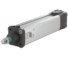 Smoothline silindir (valfsiz), 63 mm çap, 100 mm strok, ATEX sertifikalı