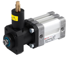 ISO kompakt çift etkili silindir, erkek dişli, kilitleme ünitesi, 50 mm çap, 100 mm strok