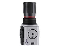 Excelon Plus genel amaçlı basınç regülatörü, 3/4 PTF, 0,3-10 bar, göstergesiz