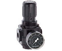 Excelon genel amaçlı basınç regülatörü, 1/2 PTF, 0,7-17 bar, göstergeli